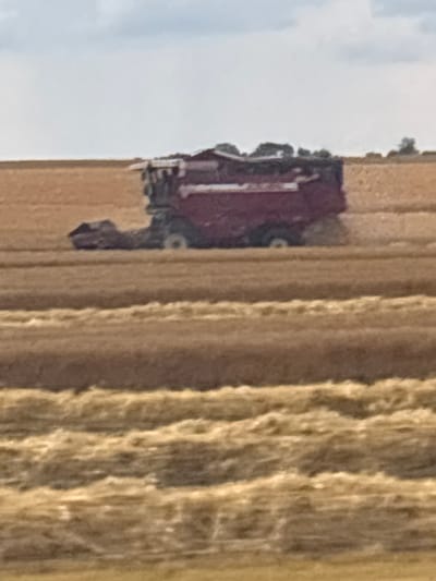 A blurry, horizontal, medium-distance shot captures a red combine harvester in motion across a field under an overcast sky. The combine is positioned centrally, moving from left to right. The field is primarily composed of cut, dry grain stubble, with neat rows of straw evident in the foreground. The background shows more of the field stretching towards a distant tree line, with a pale sky overhead. There are no people visible in the frame.