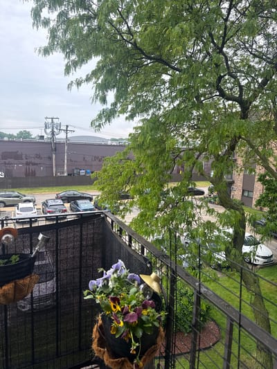 This is an outdoor scene captured from a slightly elevated position, likely a balcony or upper floor, in Des Plaines, Illinois, United States.
**Environment**: The sky is overcast, suggesting a cloudy day. The foreground is dominated by the balcony's fence and railing. Beyond the fence, a street is visible with parked cars, an industrial or commercial building, and trees.
**Objects**: The balcony features hanging flower baskets, with pansies and other plants visible. The street has multiple parked cars, in various colors and models. Utility poles with electrical equipment run along the street. Across the street, a large brown or dark-colored building is situated, possibly an industrial or commercial structure. Large trees provide a green canopy above the street.
**General**: The scene is static, capturing a moment in time. There are no visible people. The focus is on the urban landscape from a slightly elevated, personal vantage point.