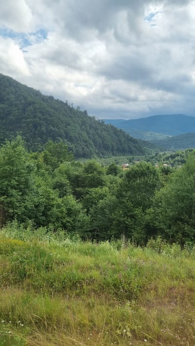 The image depicts a landscape view from a hillside overlooking a valley. In the foreground, a field of tall green grass with scattered wildflowers is visible. Beyond the grassy area, a dense forest of green trees covers the lower slopes of a large, heavily wooded mountain that dominates the left side of the frame. The mountain's peak is partially obscured by a cloudy sky with patches of blue showing through. In the distance, the valley floor is dotted with houses, suggesting a settlement. Further back, rolling hills fade into the background, their blue-green hues softened by atmospheric perspective. The overall impression is of a rural, mountainous region under an overcast sky. This view is consistent with the topography and vegetation found in the vicinity of Volosianka, Ukraine, a village known for its scenic mountainous terrain and forests.