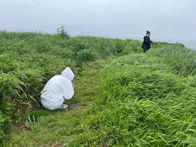 In Tikhoe, Russia, on a grassy cliffside overlooking a hazy ocean, two individuals are present. In the foreground, a person is crouched down, facing away from the camera, dressed in a white hooded sweatshirt and light-colored pants. To the right and further back, another individual stands, wearing a black jacket and dark pants, with their hair in a bun. The landscape is dominated by tall, wind-swept green grass and a cloudy sky. A faint dirt path is visible leading into the grass.