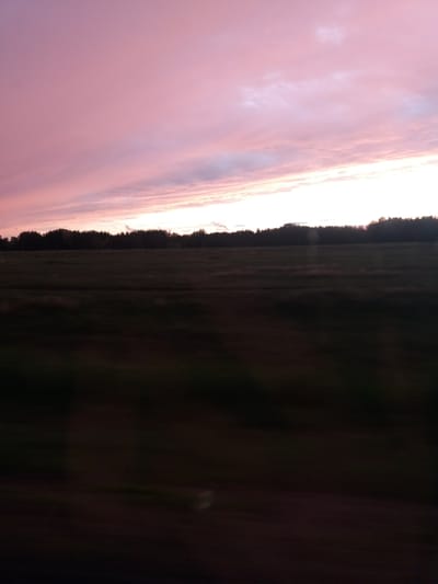 The image shows a landscape scene at sunset in Бородулиха ауылдық округі, Kazakhstan. The sky exhibits hues of pink and white, indicative of the sun's setting position just below the horizon. A dark, somewhat indistinct line of trees is seen in the middle ground, separating the sky from what appears to be a field or open land. The foreground is dominated by shadows and darkness.