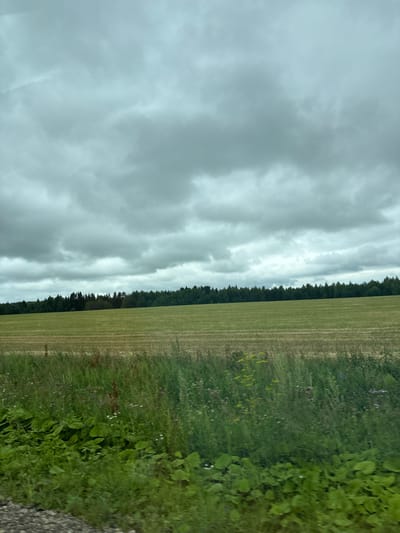 The image shows a vast, overcast sky above a rural landscape. In the foreground, lush green foliage and taller grasses are visible, with hints of wild flowers scattered among them. Beyond this, a wide, flat field stretches towards a dense line of dark green trees forming the horizon. The field appears to have been recently harvested or mowed, with visible rows or patterns indicating agricultural activity. The overall impression is one of a quiet, natural setting under a brooding sky. The image is consistent with a view from the outskirts of Kostovaty, Russia, where such agricultural fields and forested areas are common. No people or specific structures are discernible in the scene.