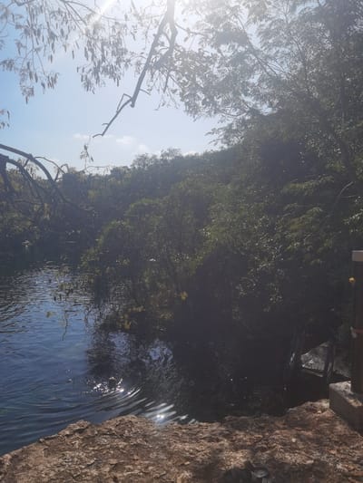 The image shows a view of a body of water, likely a cenote, from a rocky ledge. The water appears to be clear and dark blue. The scene is partially obscured by lush greenery, with several trees and branches silhouetted against a bright, hazy sky. The sunlight creates shimmering reflections on the water's surface. There are no visible people or animals in the image. The coordinates provided correspond to a location in San José, Mexico.