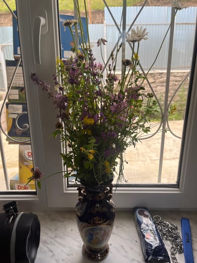 The image shows a bouquet of wildflowers in a dark blue and gold ornate vase placed on a windowsill. The bouquet is a mix of purple and yellow flowers with green foliage. Some of the flowers are small and clustered, while others are larger with white petals. The vase has decorative paintings on it and a gilded rim.
The windowsill is made of white material and has a white window handle. Through the window, a blurred outdoor scene is visible, suggesting it's daytime. The lighting indicates it's likely a bright day, possibly morning or afternoon.
On the marble-patterned surface next to the vase, there are several objects: a blue dog collar with text, a silver chain, a wrapped snack or treat, and a black speaker.
In the background, through the window, there's a view of what appears to be a greenhouse or a covered outdoor area with corrugated plastic panels. Beyond that, there's some greenery and a stone wall. Below the windowsill, more objects are visible through the glass, including boxes with labels and some metalwork.
There is visible text on the blue dog collar which appears to read "FLEXI". There is also text on the packaging of the snack which reads "WHISKAS". The yellow box visible through the window has the text "Dole" on it.
The overall scene evokes a sense of domestic setting, possibly a home in Berd, Armenia, with nature brought indoors through the wildflowers. The presence of the dog collar and speaker suggests a living space.