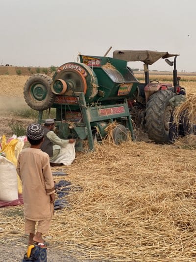 The image shows a rural scene likely in Alaqadari Daman, Afghanistan. A green and red tractor is connected to a grain thresher labeled "Blower". Two men, one wearing a hat, are working at the thresher. One man is filling a large white bag with grain coming from the thresher, while another man (a child in a tan outfit) is standing on what appears to be a blue container in the foreground. The ground is covered in dry straw or hay. The sky is overcast. There is a large pile of grain on the side, where a sack is visible.