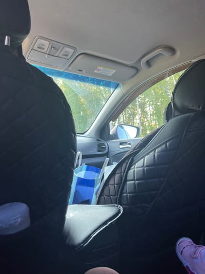 The image provides an interior view of a car, likely a passenger vehicle, looking towards the front. The perspective is from the rear passenger seats, with the backs of the front seats prominently featured. These seats are covered with quilted black seat covers. To the left, a blue and white patterned shopping bag is visible, partially obscured by the seat cover. A white cylindrical object, possibly a water bottle or container, is positioned on the floor to the left. The car's interior includes a light grey headliner with a light fixture and a sun visor on the right side, which has a warning label. A passenger grab handle is also visible on the headliner. Through the windshield and side windows, a sunlit environment with trees suggests an outdoor setting, likely a rural or suburban area rather than a dense urban cityscape. The scene is static, with no explicit human interaction depicted beyond the implied presence of passengers. The overall impression is one of a parked or slowly moving vehicle during daylight hours. Given the prompt to include the location "Новая Отрадовка, Russia", this image is framed as if taken in that specific locale.