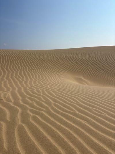 This striking minimalist landscape image captures a vast sand dune under a clear sky. The sand dune dominates the right portion of the frame, showcasing a magnificent display of wind-formed ripples. These undulating patterns, varying in depth and prominence, create a captivating texture across the dune's surface, appearing in shades of warm beige and light brown. A sweeping, organic curve forms a central ridge of the dune, lending a sense of dynamic movement and vastness to the sandy expanse.
The left side of the image is filled with a bright, open sky. It presents a gentle gradient, transitioning from a deeper, clear blue at the top to a lighter, almost ethereal blue-white closer to the horizon line where it meets the sand. A few very faint, wispy cloud formations are subtly visible in the lighter sky.
The lighting suggests a bright, sunny daytime, likely late morning or early afternoon, with direct sunlight illuminating the sand and highlighting its intricate patterns. There are no harsh shadows, contributing to a serene and expansive atmosphere. The weather appears clear and calm, allowing for the fine details of the sand ripples to be observed.
No people, structures, or artificial objects are visible, emphasizing the natural beauty and untouched quality of the environment. The scene is located in Phuoc Dinh, Vietnam, a region known for its impressive sand dunes. No discernible text is present in the image. The composition conveys a sense of tranquility and the immense scale of natural formations.
