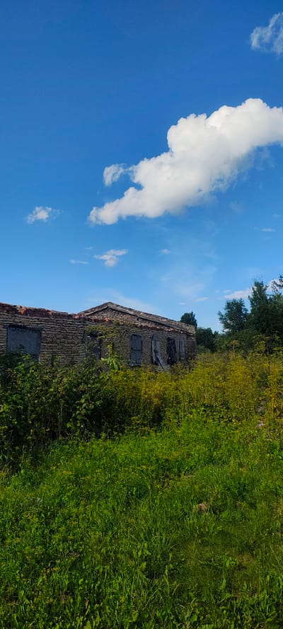 The image depicts an abandoned, single-story building made of stone in the village of Neelovo-1, Russia. The structure appears to be in a state of disrepair, with boarded-up windows and a damaged roofline. Overgrown vegetation, including tall grass and various plants, surrounds the building, partially obscuring its foundation. The sky above is a clear blue, with a few fluffy white clouds. The scene suggests an isolated and neglected location, likely in a rural or semi-rural setting. There are no people or animals visible in the image.