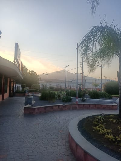 This is a vertical, medium-shot, outdoor photograph taken at ground level of a modern commercial area near Mount Vesuvius in San Giovanni la Punta, Italy. The sky is a pale blue with some wispy clouds catching the early morning or late afternoon sun. In the foreground, a paved area with a geometric pattern of dark grey and lighter grey tiles leads into a landscaped planter with low-lying plants and dark grey gravel. The planter is bordered by a curved, terracotta-colored wall. To the left, a portion of a building with a light-colored awning and large windows is visible. Behind the planter, a fence separates the area from a street lined with streetlights and some industrial buildings. In the distance, the hazy silhouette of Mount Vesuvius dominates the horizon. A palm tree is visible in the upper right corner of the frame. There are no people visible in the image.