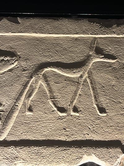 This image shows a close-up of an ancient inscription carved into a stone slab. The inscription features a complex, stylized symbol that resembles a branching structure, perhaps a plant or an abstract representation. The carving is deeply incised into the textured surface of the stone, with strong shadows highlighting the raised lines and crevices. The stone itself appears weathered and aged, suggesting it is a historical artifact.
The composition focuses entirely on the carved symbol and the surrounding stone, with a dark, out-of-focus area on the left suggesting a backdrop or display setting. The lighting is dramatic, casting distinct shadows that emphasize the three-dimensional quality of the carving. There is no discernible human presence or activity depicted, only the static artwork on the stone. The setting appears to be indoors, possibly a museum or exhibition, given the controlled lighting and the presentation of the artifact. There is no visible text in a conventional sense, only the symbolic inscription. The texture of the stone is rough and granular. The image does not provide information about the time of day, weather, or specific location beyond the general context of Cologny, Switzerland, which likely refers to the origin or current location of the artifact.