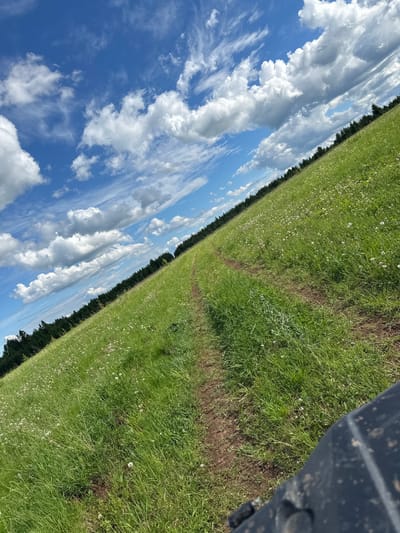 The image depicts a grassy field with a dirt track running through it, alongside a treeline. Above, a blue sky is filled with white cumulus clouds. The photograph is taken from a tilted angle. The presence of a dark-colored vehicle part in the top right corner suggests the photo was taken from inside or near a vehicle. Given the prompt, it is suggested that the location of this image is Bogorodskoe, Russia, but the image content does not independently confirm this.