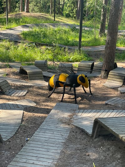 In an outdoor park in Sosnoviy Bor, Russia, a large, decorative bee sculpture is positioned amidst a wooden obstacle course. The bee, black and yellow, is the central subject, with intricate wire wings and visible legs. The obstacle course consists of various wooden ramps and curves, designed for activities like biking or skateboarding, laid out on a sandy and pine-needle-strewn ground. In the background, tall pine trees create a dense forest setting, with sunlight filtering through the leaves, casting shadows on the ground. Green grass and some small plants are visible on the edges of the course and on a slightly elevated mound in the distance. A discarded beverage can lies on the wooden path in the lower portion of the image.