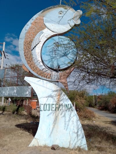 The image shows a metal sign with a fish design in Municipio Tarija, Bolivia. The fish is silver with orange scale details and has a circular window in its body. Below the fish is a fin-shaped base with the word "CODEFAUNA" written on it. The sign is weathered and the surrounding area consists of dry grass, trees, and a road. A building and utility poles are visible in the background. The sky is blue with scattered clouds.