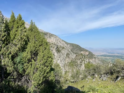 The image depicts a mountainous landscape on a clear day. In the foreground, several coniferous trees with dense green foliage are prominent. The terrain slopes upwards, revealing a rugged, rocky mountainside with sparse vegetation. Beyond the immediate mountains, a valley unfolds with cultivated fields and scattered buildings, suggesting a rural or semi-rural settlement. The distant horizon shows a hazy, layered landscape of further mountains. The scene is likely located in the vicinity of Khaidarkan, Kyrgyzstan, a region known for its mountainous terrain and agricultural valleys. There are no people or specific actions captured in the image; it is a static environmental scene.