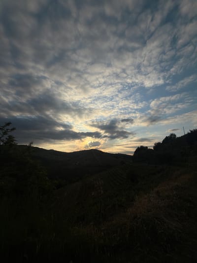 A landscape photograph captures a scene in Santo Stefano Belbo, Italy. The image is oriented in a portrait format but has been rotated to the left. The lower right quadrant shows a darkened, silhouetted hillside with hints of vegetation and some possible terracing. The sky dominates the frame with a dramatic display of cumulus clouds, some thick and grey, others thinner with patches of blue sky showing through. The sun is partially obscured by the clouds, emitting a bright, diffused glow that casts a soft light across the scene. In the lower part of the photo, some branches with a few leaves are visible, suggesting a tree or shrub in the foreground. The overall impression is one of a rural landscape, with the focus on the sky and the interplay of light and clouds.