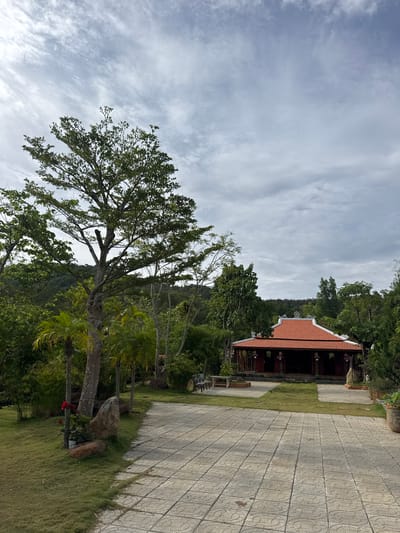 The image shows a landscape in Liên Nghĩa, Vietnam. A large tree with green foliage dominates the foreground, angled towards the sky which is filled with a textured cloud cover. Behind the tree, the scene extends into a pathway constructed of patterned, light-colored pavement bordered by a grassy area. Further back, a traditional Vietnamese structure with a red tiled roof is partially visible, surrounded by dense green foliage.