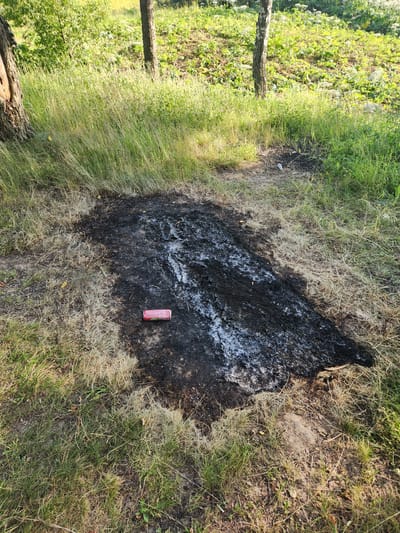 The image depicts a patch of burned grass and soil in an outdoor setting. The burned area is irregular in shape, with black ash and some white residue covering the ground. Surrounding the burned patch is dry, light brown grass and vibrant green grass. A single red soda can with a green logo is placed on the burned ground. In the background, there is more lush green vegetation and the trunks of trees, suggesting a natural or park-like environment. The lighting suggests it is daytime, with sunlight illuminating the scene. The overall impression is one of environmental damage, possibly from an uncontrolled fire, with a discarded beverage container as a notable detail within the aftermath.
