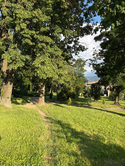 A sunlit park scene in Anton, Bulgaria, features lush green grass with a winding dirt path. Two large trees dominate the foreground, casting shadows on the lawn. In the background, several smaller evergreen trees and bushes are visible, along with a lamppost and a building with a red tile roof. Rolling hills under a bright blue sky with scattered clouds complete the serene environment.