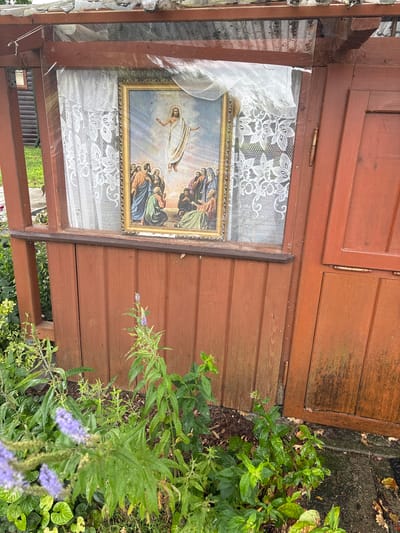 In Rybaki, Poland, an outdoor religious icon is displayed behind a clear plastic sheet, attached to the exterior of a wooden structure. The icon depicts Jesus Christ ascending into heaven, surrounded by a group of disciples. The icon is framed with a gold-colored border and hangs behind a white lace curtain. The wooden structure has a weathered, reddish-brown finish. Green foliage and some small purple flowers are growing in front of and around the base of the structure. The overall scene suggests a simple, rustic outdoor display of religious devotion.