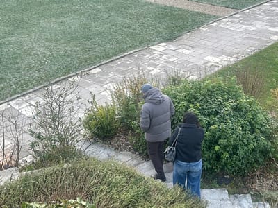 Two people descend stone steps through greenery. A man in a puffy gray coat and baseball cap walks in front, while a woman in a black jacket and jeans follows. A gray stone path borders a frost-covered lawn above the steps. Bushes and trees surround the staircase on both sides.