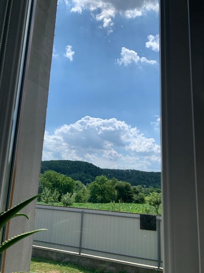 The image captures a serene view through a window, overlooking a lush green landscape on a bright, cloudy day. The foreground shows a portion of an indoor plant with pointed green leaves, positioned to the left of the frame, partially obscuring a concrete window frame. The window is open, revealing a vista of rolling hills covered in dense green trees. A large, fluffy white cloud dominates the sky above the hills, with smaller clouds scattered across the blue expanse. Below the hills, a white, corrugated metal fence runs horizontally across the middle ground, separating the viewer's perspective from a field of green crops, likely corn, which appears to be growing in rows. A dark, rectangular object is attached to the fence. The scene suggests a rural or semi-rural setting, possibly on the outskirts of a city like Zamostia, Ukraine, given the presence of agricultural land and natural terrain. There are no people or animals visible in the frame. The lighting indicates it is daytime.