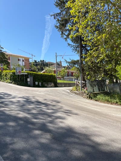 The image captures an outdoor scene in Camerino, Italy, featuring a paved asphalt road curving gently to the right. Bright sunlight casts sharp shadows of tree foliage across the road surface, indicating a clear, sunny day, likely late morning or early afternoon.

On the left side of the road, dense green vegetation dominates, including large trees with vibrant green leaves and a tall, manicured hedge. A utility pole with overhead wires stands amidst the greenery. Further back, several buildings are visible, including residential structures with terracotta roofs and light-colored facades. One prominent building in the mid-ground has a light yellow/cream exterior.

In the background, hills are visible, topped with more greenery and what appears to be construction activity, marked by several large yellow and red construction cranes. The sky above is a clear, bright blue, with a distinct white contrail stretching across it.

Visible text on various road signs attached to a pole on the left side of the road includes:
*   A circular sign with a red border and diagonal line, possibly indicating a parking restriction or no entry.
*   A blue square sign with a white 'P' and an arrow pointing down-left, signifying parking. Below it, text reads "CENTRO VIA C. BATTISTI, P.ZZA G. PAGLIA," indicating directions to the city center and specific street names.
*   A rectangular white sign with black text "POLO UNIVERSITARIO" and an arrow pointing right, directing towards the University Campus.
*   A circular sign with a red border and "30" in black, indicating a speed limit of 30 km/h.