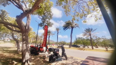 The image depicts a sunny day in an outdoor setting, likely a street or park area in an unknown city in Venezuela. Two red scooters and one black scooter are parked on a sidewalk paved with checkered tiles. A red flag with white text reading "ALQUILER DE MOTOS" (Motorcycle Rental) is planted in the ground behind the red scooters. Palm trees are visible in the background, some with tall, slender trunks, and others with wider canopies. Trees with dense foliage and branches are also present, casting dappled shadows on the ground. A paved road runs parallel to the sidewalk, with several cars parked on the opposite side. The sky is blue with scattered white clouds. The overall scene suggests a tropical or subtropical climate.