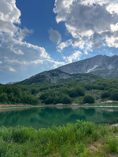 The image shows a serene mountain lake in Motički gaj, Montenegro. The lake's surface is a deep emerald green, reflecting the lush green trees that surround it and the dramatic rocky mountain peak in the background. The sky above is a vibrant blue, dotted with fluffy white clouds. In the foreground, tall green grass and wild flowers grow along the edge of the lake. The overall scene is one of natural beauty and tranquility, with the imposing mountain serving as a majestic backdrop to the calm waters.