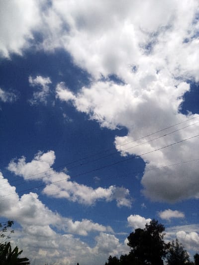 The image displays an outdoor scene over Nachu ward, Kenya, dominated by a partially cloud-covered sky. The sky is deep blue, with numerous white and light gray cumulus clouds distributed throughout the frame. Four dark, thin utility lines traverse horizontally across the mid-section of the image. Along the bottom edge, dark green and silhouetted vegetation is visible, including broad leaves in the lower-left consistent with a banana plant, and the tops of other trees. No individuals, animals, or additional man-made structures are present within the frame.