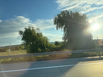 The image depicts a roadside view in Kareli, Georgia, under a bright, sunny sky with scattered clouds. Two large willow trees with drooping branches dominate the foreground, their foliage casting shadows on the road. A metal guardrail runs along the edge of the road, separating it from a grassy area. In the background, a wind turbine is visible on a distant hill, along with rolling green landscape and scattered trees. The sun is shining intensely, creating lens flare and illuminating the scene with a warm, golden light, suggesting it is either sunrise or sunset. The road itself appears to be a highway or major road, indicated by the white lane markings.
