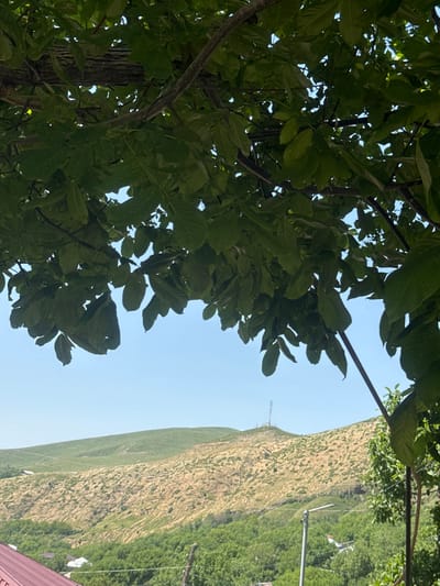 An outdoor shot captures a hillside landscape in Bjni, Armenia, under a clear blue sky. Lush green leaves and branches from a tree dominate the foreground, partially obscuring the view of the scenery behind. A terraced hillside, covered with dry grass and sparse vegetation, rises in the middle ground. Further back, rolling green hills form the backdrop. Several structures are visible: a building with a red roof in the lower left, a few scattered houses, and a utility pole with a street lamp. A communication tower stands atop the furthest hill. The scene is bathed in natural daylight, indicating it was taken during the daytime.