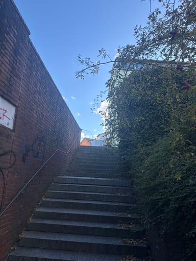 The image displays an upward-angled view of an outdoor pedestrian staircase in Dachau, Germany, framed by a brick wall on the left and dense vegetation on the right, under a clear blue sky with sparse clouds. The staircase comprises approximately 15-20 steps made of dark, speckled granite, with a scattering of dry leaves on their surfaces. The wall on the left is constructed from weathered red bricks, exhibiting dark discoloration and faded graffiti below a lighter, rectangular patch featuring partial red lettering. A thin, light-colored metal handrail is affixed diagonally to this brick wall. On the right, a thick mass of dark green foliage, including bushes and vines with small reddish berries or fruits, densely lines the staircase and extends upwards, partially obscuring a light-colored building with visible windows. At the top of the stairs, several buildings are visible, including a distinct orange house with a gable roof positioned to the right of center, and lighter-colored structures adjacent to it. A streetlamp and a section of paved ground are also visible in the background at the top of the ascent. No individuals or animals are present in the scene.