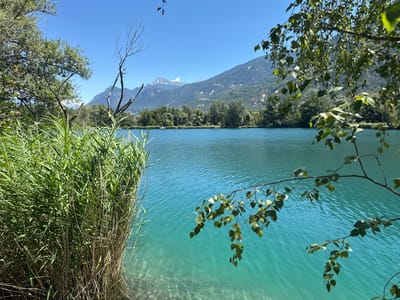 The media file depicts a serene natural landscape with a clear, turquoise lake in the foreground. Tall, green reeds line the left bank of the lake, with some dry, brown stalks interspersed. A bare, branched tree trunk emerges from the reeds, reaching towards the sky. In the distance, the lake is bordered by a lush green forest, and beyond that, majestic mountains rise against a clear, vibrant blue sky. The mountains are rugged, with some snow-capped peaks visible.

The water of the lake is exceptionally clear, allowing the stony bottom to be seen near the shore. The surface of the lake is gently rippled, reflecting the bright sunlight. A leafy branch of a tree hangs into the frame from the upper right, its green leaves dappled with sunlight. The overall impression is one of tranquility and natural beauty.

The scene appears to be set on a bright, sunny day, likely in the late morning or early afternoon, given the strong sunlight and clear skies. The presence of the mountains and the type of vegetation suggest a location in a mountainous region, consistent with the provided context of Sierre, Switzerland. There are no people or specific objects visible, focusing the attention entirely on the natural elements. The mood conveyed is peaceful and inviting, highlighting the pristine state of the environment. There is no visible text in the media file.