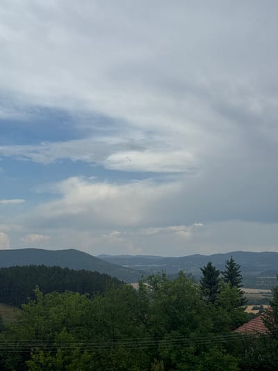 The image captures a panoramic view of a rural landscape, likely in or near Vladislavtsi, Bulgaria, under a dramatic sky. The upper portion of the frame is dominated by a dynamic cloud formation, with patches of blue sky visible through breaks in the overcast. Fluffy white clouds are juxtaposed against darker, denser grey clouds, suggesting a potentially unsettled weather system.
The middle ground features rolling hills covered in dense, dark green coniferous forest, transitioning into lighter green deciduous trees in the foreground. The texture of the forest canopy suggests a vast expanse of woodland. In the far distance, a hazy layer of lighter green and yellow-toned hills or fields is visible, indicating a broader geographical region.
The foreground is characterized by lush, vibrant green foliage of deciduous trees, some of which are tall and sprawling. Partially obscured by the trees on the right side of the image is a terracotta-tiled roof, indicating the presence of a residential structure. Thin, dark horizontal lines, likely utility wires, stretch across the lower part of the foreground. No people are present in the scene. The overall impression is one of a natural, slightly wild, and somewhat overcast rural environment.