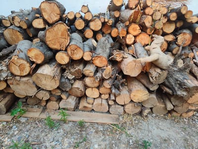 The image shows a large pile of cut logs stacked against a white wall. The logs vary in size and thickness, with some showing visible rings and cracks. They are a mix of light brown and darker gray wood, with some bark still attached. Several smaller branches and twigs are also scattered among the larger logs. In the foreground, the ground is covered with dirt, small stones, and some green vegetation. The lighting suggests it is daytime. There are no people or animals visible in the scene. The overall impression is of a woodpile prepared for use, possibly for heating or construction.