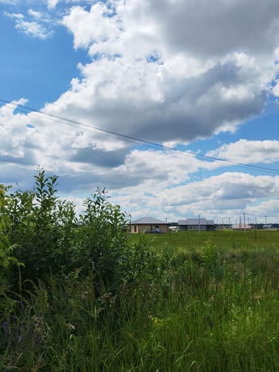 The image shows a rural landscape with a bright blue sky filled with white, puffy clouds. In the foreground, there is a dense patch of green foliage, including tall grasses and bushes. In the middle ground, several houses with grey roofs are visible, appearing to be under construction or newly built, set against a vast green field. Telephone poles and wires stretch across the scene, indicating infrastructure in a semi-developed area. The environment appears to be in Vorob'evo, Russia, consistent with a sunny day in a suburban or rural settlement. There are no people visible in the image.