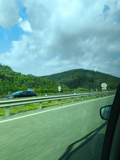 The image captures a daytime scene from the interior of a moving vehicle on a multi-lane highway, consistent with a road near Eckartswiller, France. The foreground shows the lower portion of a vehicle's side window frame and an exterior mirror on the right, with reflections present on the glass surface. The midground is dominated by the asphalt highway, featuring a white solid lane line. A grey metal guardrail runs parallel to the road, separating the lanes from the adjacent shoulder. A dark-colored vehicle, heavily motion-blurred, is present in an adjacent lane, indicating high-speed travel relative to the camera's vehicle. Beyond the guardrail, two large white circular road signs and one blue circular road sign are visible. The background consists of a prominent, densely forested green hillside. The sky above displays a mix of blue patches and substantial cloud cover. No individuals are discernible.