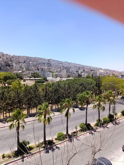 The image depicts a panoramic view of the city of Nablus, Palestinian Territories, under a clear blue sky. In the foreground, a paved road runs horizontally across the frame, lined with a median strip of vegetation and a sidewalk. Several palm trees stand along the road, casting shadows on the asphalt. Beyond the road, a dense line of coniferous trees forms a verdant barrier. In the middle ground, the cityscape of Nablus unfolds, with numerous buildings constructed on a hilly terrain. The architecture appears to be predominantly modern, with many multi-story residential and commercial structures. The buildings are clustered together, ascending the slopes of the hills. The distant background shows more of the city and the undulating landscape surrounding it. The overall impression is one of a vibrant urban environment situated within a natural setting.