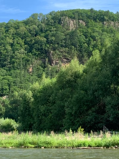 The image depicts a natural landscape with a steep, forested hillside rising from the foreground. The hillside is covered in dense, green foliage, with a rocky cliff face visible through the trees in the upper portion of the image. A body of water, likely a river, occupies the bottom of the frame, with a green, grassy bank along its edge. The sky above is clear and blue. There are no people or man-made structures visible in the scene.