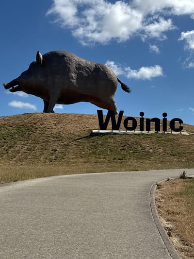 The image shows a large sculpture of a wild boar positioned on a grassy hill. In front of the sculpture, large black letters spell out "Woinic." A paved pathway curves into the foreground of the image. The sky is blue with scattered white clouds. This scene is located in Saulces-Monclin, France, as indicated by the presence of the "Woinic" sculpture, which is a well-known landmark in the town.