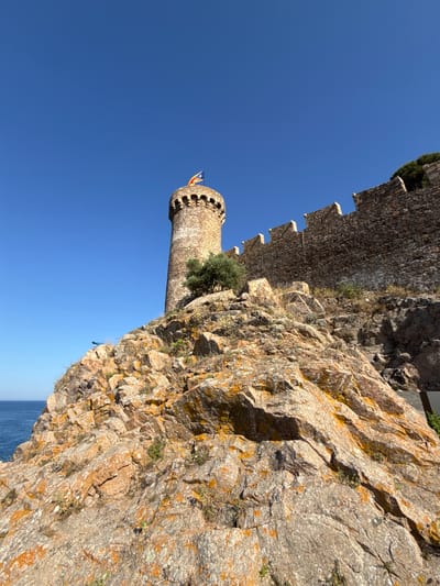 The image captures a view from below looking up at a medieval stone tower and fortified wall situated on a rocky cliff overlooking the sea. The tower, cylindrical in shape, is topped with battlements and flies a flag. A stone wall extends from the tower, also featuring battlements and a rough texture. The foreground is dominated by a rocky, uneven terrain with patches of orange lichen and sparse vegetation. The sea is visible in the background to the left, with its blue water contrasting with the clear blue sky above. The scene is bathed in bright sunlight, casting shadows and highlighting the textures of the stone and rocks. This appears to be the Vila Vella, the walled old town of Tossa de Mar, Spain, known for its well-preserved medieval architecture and its dramatic clifftop location overlooking the Mediterranean. There are no people visible in the image.