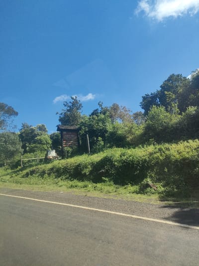 The image shows a roadside scene with lush vegetation on a hillside. A wooden sign, partially obscured by foliage, is visible on the hillside. The sign appears to have text in English, but the specific wording is not clear. A fence runs along part of the hillside. The road is paved and has a white edge line. The sky is blue with some clouds. The scene is in the Municipality ward, Kenya.