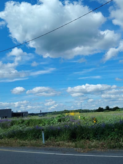The image shows a rural landscape near Нелазское, Russia. The sky is blue with scattered white clouds. Several power lines stretch horizontally across the sky. In the foreground, there is a paved road with a white line marking its edge. Adjacent to the road is a field filled with green vegetation and purple flowers. In the middle ground, there is a dark building on the left, and further to the right, a yellow fence-like structure. The background consists of a dense line of trees and a water tower. The scene is captured from a roadside perspective, likely from a moving vehicle.