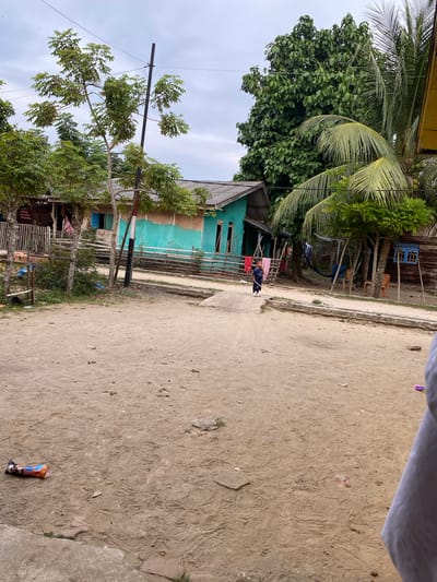 This image captures a street scene in Tanjongkapai, Indonesia, on an overcast daytime. The perspective is slightly elevated, looking across a wide, sandy dirt path that occupies most of the right side of the frame. The path is marked with numerous footprints and scattered small debris.
On the left side, the scene is dominated by lush tropical vegetation, including large palm trees with visible coconuts and other dense, leafy trees. Several houses are visible amongst the greenery. A prominent, two-story house features a distinctive turquoise facade with blue window frames. Further back, another wooden house is partially obscured. Simple wooden and bamboo fences delineate the property lines. Clothes are seen hanging to dry near one of the houses, suggesting daily life. A black utility pole with visible wires stands tall, indicating electrical or communication infrastructure.
In the mid-ground, a young person, likely a child, dressed in dark clothing, is walking along the dirt path. In the immediate foreground, on the path, a colorful, crinkled snack wrapper is discarded. The sky overhead is a uniform grey, indicating cloudy weather. The overall setting is that of a rural or semi-rural residential area, characterized by unpaved roads, abundant vegetation, and simple dwellings. No specific legible text is visible, only unidentifiable graphics on the snack wrapper.