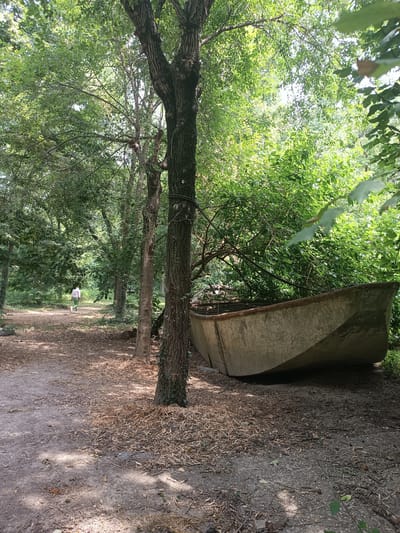 A lone figure walks along a dirt path in a wooded area. The path is lined with trees and dried leaves. In the foreground, an old, weathered boat rests on the ground. The scene appears to be in a park or natural area, possibly in Casalmaggiore, Italy, given the context.