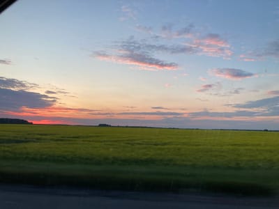 The image captures a wide expanse of a vibrant yellow field, likely rapeseed, stretching towards the horizon under a vast sky painted with the soft hues of sunset. Wispy clouds, tinged with pink and orange, drift across a gradient of blue and pale yellow. A dark, tree-lined silhouette marks the distant edge of the field, suggesting a rural landscape in Заямнаўскі сельскі Савет, Belarus. The foreground shows a blurry dark stripe, possibly a road or a vehicle's interior, indicating the photograph was taken from a moving vehicle. There are no people or animals visible.