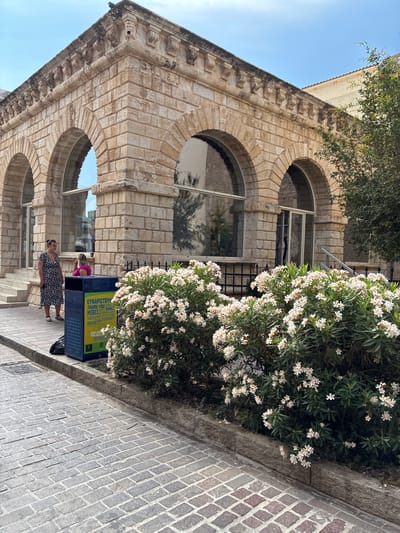 A vertical, eye-level outdoor shot shows a cobblestone street in front of an old stone building in Rethymno, Greece. The building features arched windows and decorative stonework. To the right of the building, a large bush with white flowers is in bloom. In the foreground, a woman in a leopard-print dress stands near a blue recycling bin. Another woman, wearing a pink top, is partially visible behind the recycling bin. The sky is clear and blue, suggesting a sunny day. The scene appears to be during daylight hours. Text on the recycling bin is partially visible and includes "EXAPISTHTHPI" and "THANK YOU".