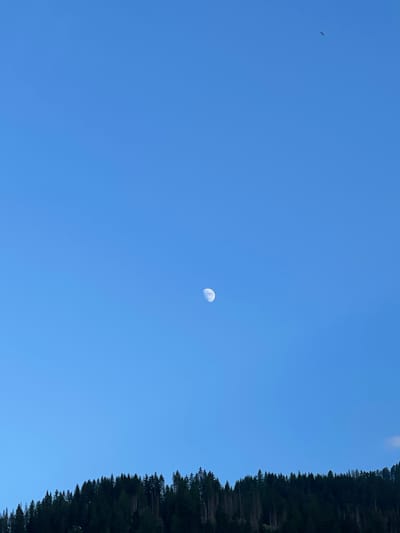 This media file captures a clear, bright blue sky with a crescent moon visible in the upper right quadrant of the frame. A dense line of dark green pine trees runs vertically along the right edge of the image, suggesting a mountainous or heavily forested landscape. The trees are silhouetted against the sky, indicating a bright light source, likely the sun, though it is not directly visible. The angle of the trees suggests the photo may have been taken from a lower elevation looking up, or the image is rotated. A small dark bird is visible in the upper left portion of the sky. The overall impression is one of a peaceful, natural setting, likely during daytime due to the bright sky and visible moon. The location context of La Ila - Stern - La Villa, Italy, implies the scene could be in the Dolomites region, known for its dramatic mountain scenery and forests. There is no visible text in the image.