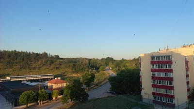 The image presents an aerial view of a suburban area, likely on the outskirts of Novi Pazar, Bulgaria. The scene is dominated by a clear blue sky, with several birds in flight scattered across the frame.
In the foreground on the right, a tall, multi-story apartment building with a cream-colored facade and red accent bands is visible. The building features numerous windows and balconies. To the left of the apartment building, a smaller, two-story residential house with a red-tiled roof is situated. Adjacent to this house, a low-lying building with a dark roof and a sign that reads "АВТОСАЛОН·ПЕЦИ" (Autosalon Peci) is present, indicating a car dealership. Several cars are parked within the dealership's lot.
A paved road curves through the middle ground of the image, flanked by lush green trees and vegetation. The terrain beyond the road slopes upwards, covered by a dense forest of pine trees. The overall environment appears to be a mix of residential and commercial structures set against a natural, wooded backdrop. The lighting suggests it is either early morning or late afternoon, given the warm hues and long shadows. There are no people clearly visible in the scene.