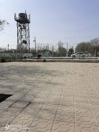 This image depicts an outdoor urban scene in Samarkand, Uzbekistan, under clear daytime conditions. The foreground is a wide expanse of light-colored paving stones arranged in a geometric pattern incorporating octagonal and rectangular shapes. A dark, irregular shadow extends from the lower-left corner across a portion of these pavers.
In the mid-ground, a green metal fence with decorative arched sections runs horizontally across the frame. Behind this fence, a single male individual is visible, dressed in dark clothing. He is bent over, interacting with a small, dark-colored mechanical object on the ground that has a red or orange component. This object is positioned on a raised paved area or curb just behind the fence line.
Further into the background, a road is visible with a white sedan, possibly a Chevrolet, parked or moving slowly on the right side. Several low-rise buildings with light-colored walls and tiled roofs are scattered behind the road and fence. Bare deciduous trees with minimal foliage indicate a dormant season.
A prominent feature in the left background is a tall, dark-colored lattice-structure metal tower, likely a water tower, topped with a cylindrical tank. Multiple antennae and communication equipment are affixed to the top and sides of this tower. Utility poles and overhead wires are visible throughout the mid-ground and background. The sky is bright and largely cloudless.